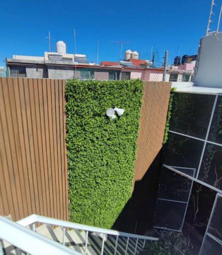 Fachada con lambrín y muro verde